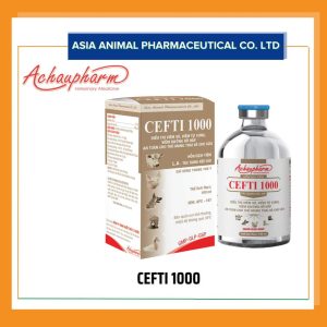 Cefti-1000
